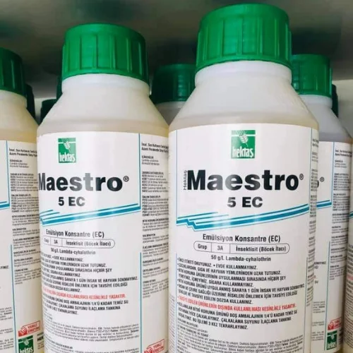 Maestro