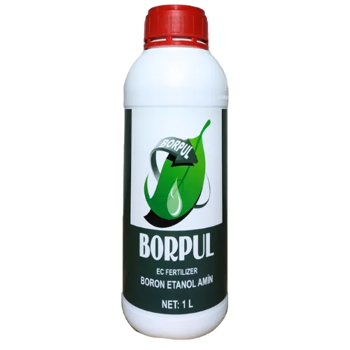 Borpul