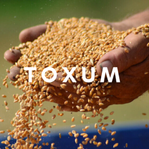 Toxum
