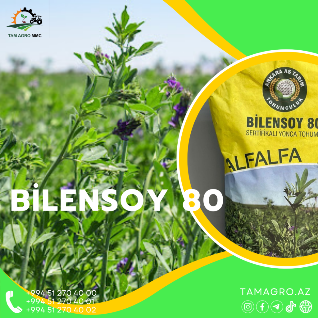 Bilensoy Yonca Toxumu Tam Agro Bilensoy Yonca Toxumu Tam Agro