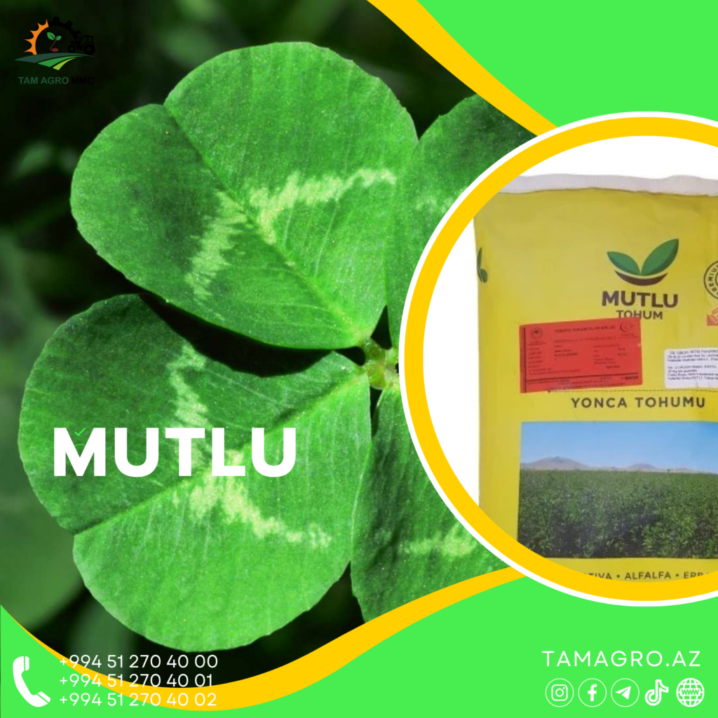 Mutlu Yonca Toxumu Tam Agro Mutlu Yonca Toxumu Tam Agro