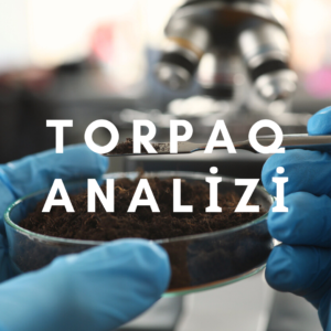 Torpaq Analizi